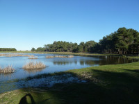 Lagunas de Cantalejo